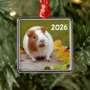 Rode en Witte Gladharige Cavia Metalen Ornament