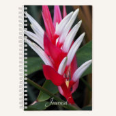 Rode en witte Heliconia Floral Notitieboek (Voorkant)