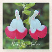 Rode en witte hete lippen Salvia Floral Glazen Onderzetter (Voorkant)