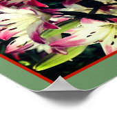 Rode en witte leliebloemen spiegelen Abstract Poster (Hoek)