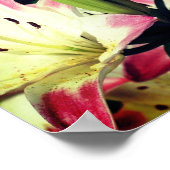 Rode en witte Lily-bloemen Poster (Hoek)