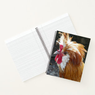 Rode en Witte Poolse Kip Notitieboek