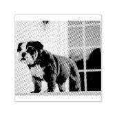 rode en witte puppy  zelfinktende stempel (Design)