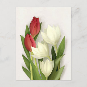 Rode en Witte Tulpen Bloemstuk Ansichtkaart Briefkaart
