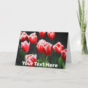  rode en witte tulpen kaart
