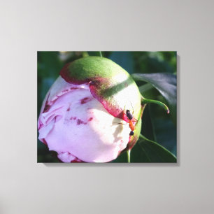 Rode en zwarte mier op Big Pink Flower Bud Canvas Afdruk