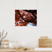 Rode es takken herfstkleuren poster (Keuken)