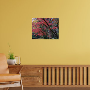 Rode espenbladeren aan boom Botanisch Poster