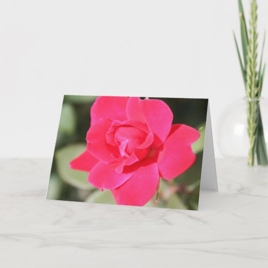 Rode Favoriete Floribunda nam toe Kaart (Voorkant)