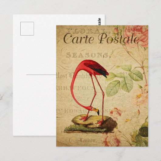  rode flamingo Floral Franse Carte Postale Briefkaart (Voorkant / Achterkant)