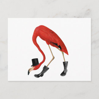 rode flamingo in het pet briefkaart