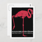  Rode flamingo München dierentuin Briefkaart (Voorkant / Achterkant)