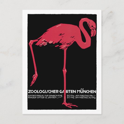  Rode flamingo München dierentuin Briefkaart (Voorkant)