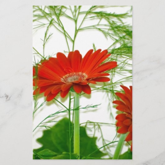Rode Floral (Voorkant)