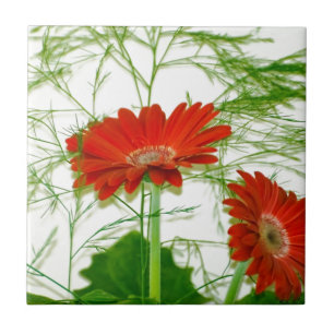 Rode Floral Tegeltje