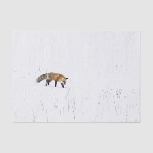 RODE FOX OP SNEE WEEFSEL PAPIER (Voorkant)