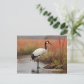 Rode gekroonde kraan staan op water briefkaart (Staand voorkant)