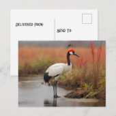 Rode gekroonde kraan staan op water briefkaart (Voorkant / Achterkant)