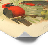 rode, gele afdrukken poster (Hoek)