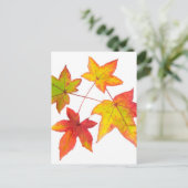 Rode gele en groene herfstbladeren briefkaart (Staand voorkant)