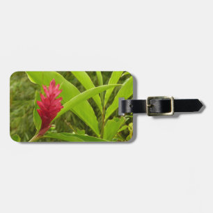 Rode gember bloem (Alpinia) tropisch Bagagelabel