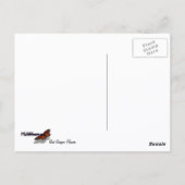 Rode gember bloem (Alpinia) tropisch Briefkaart (Achterkant)