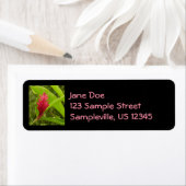 Rode gember bloem (Alpinia) tropisch Etiket (Insitu)