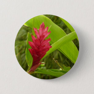 Rode gember bloem (Alpinia) tropisch Ronde Button 5,7 Cm
