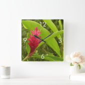 Rode gember bloem (Alpinia) tropisch Vierkante Klok (Huis)