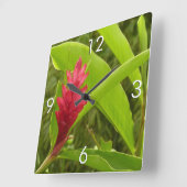 Rode gember bloem (Alpinia) tropisch Vierkante Klok (Hoek)