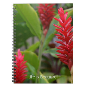 Rode Gember Bloemen Kauai (mijn fotografie) Notitieboek