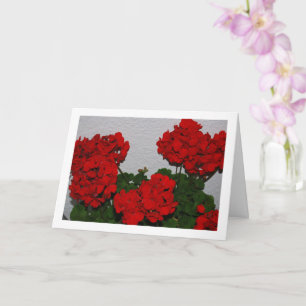Rode Geranium Bloemen, Bloemportret Kaart