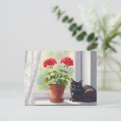 Rode Geranium en Zwarte Kat Briefkaart (Staand voorkant)