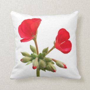Rode Geranium Kussen