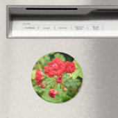 Rode Geranium magneet (Insitu (Vaatwasser))