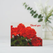 Rode geraniums briefkaart (Staand voorkant)