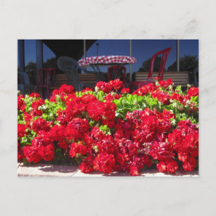 Rode Geraniums Cafe Briefkaart