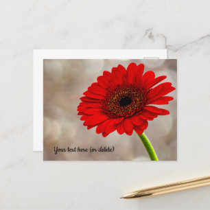 Rode Gerbera Ansichtkaart Briefkaart