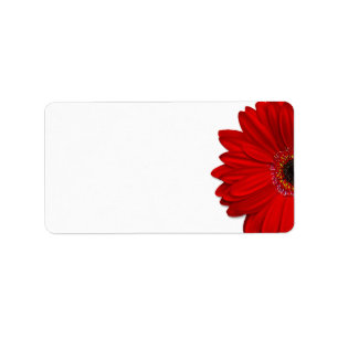 Rode Gerbera Daisy Bruiloft Blank Adres Label