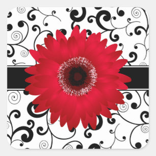 Rode Gerbera Daisy met zwarte Scroll Design Seal Vierkante Sticker