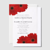 Rode Gerbera Gerber Daisy Flower Wedding Vellum Uitnodigingen (Offset)