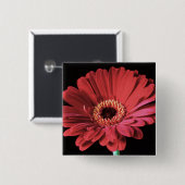 Rode Gerbera vierkant Vierkante Button 5,1 Cm (Voorkant /achterkant)