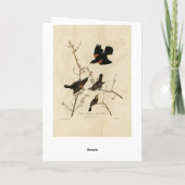 Rode gevleugelde Blackbird - Audubon's vogels van Kaart (Achterkant)