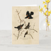 Rode gevleugelde Blackbird - Audubon's vogels van Kaart (Gele Bloem)