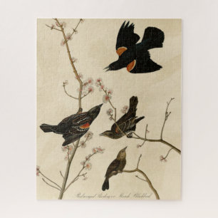 Rode gevleugelde Blackbird - Audubon's vogels van Legpuzzel