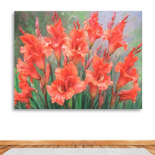 Rode Gladiolus bloemen Elegante bloementuin bloeit Canvas Afdruk