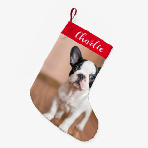 Rode Groene Hond Foto Gepersonaliseerde Naam Kleine Kerstsok