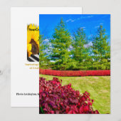 Rode & Groene Kerst Kaart (Voorkant / Achterkant)