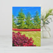 Rode & Groene Kerst Kaart (Staand voorkant)