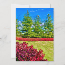 Rode & Groene Kerstkaart